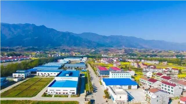 QQ截图20170711153006.jpg